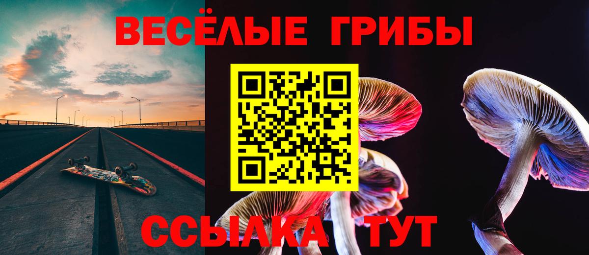 Псилоцибиновые грибы Psilocybine cubensis  Вход с VPN  Ачинск 